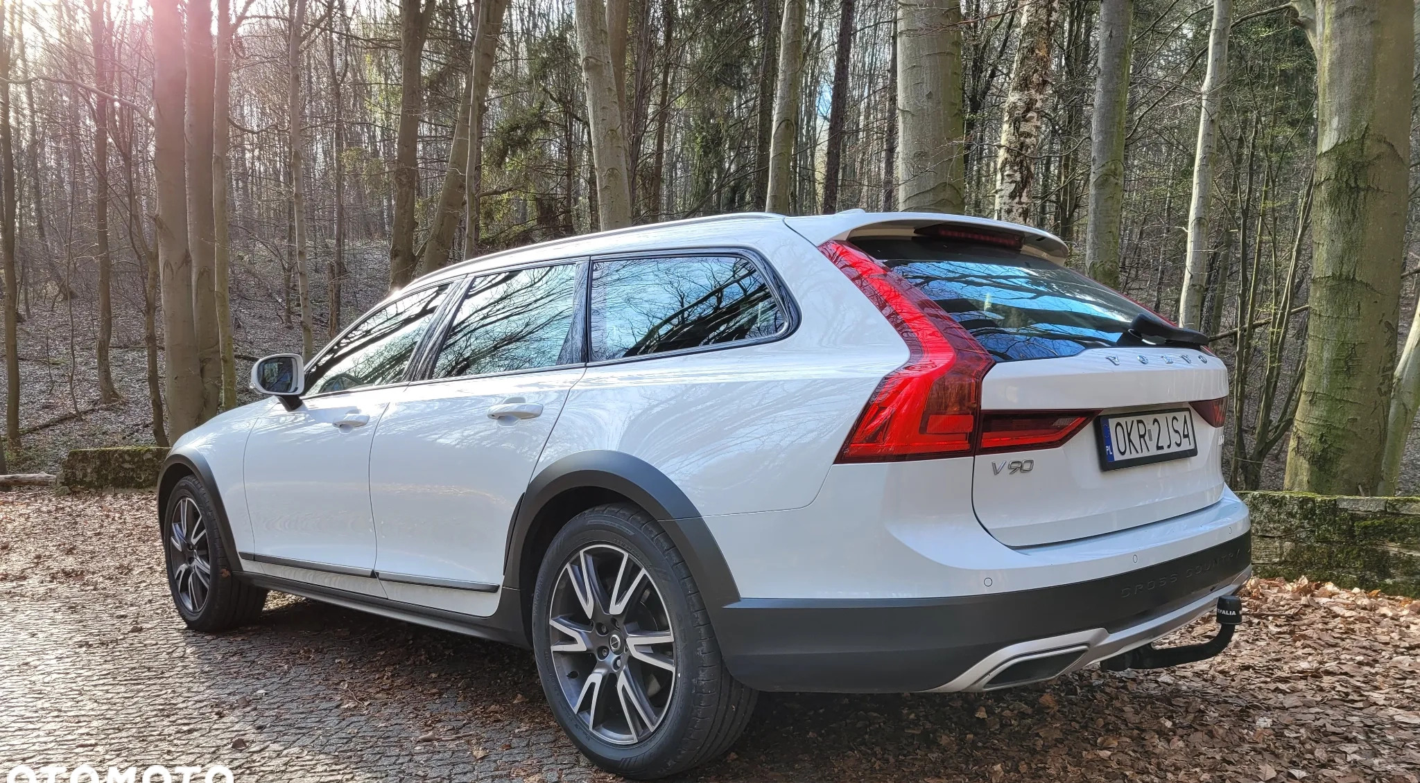 Volvo V90 Cross Country cena 129900 przebieg: 182000, rok produkcji 2020 z Zdzieszowice małe 704